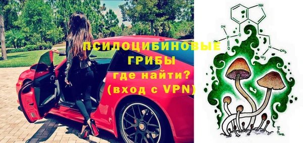 крисы Нязепетровск