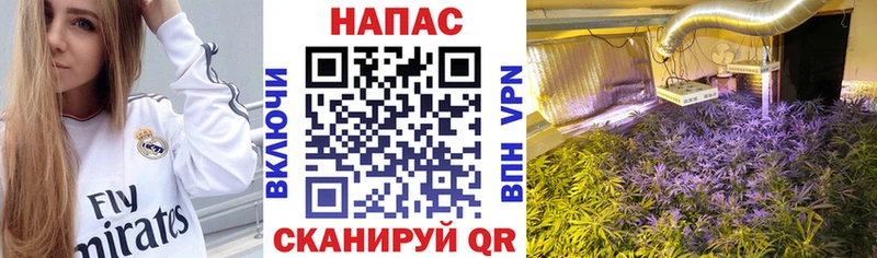 Бошки марихуана тримм Баймак